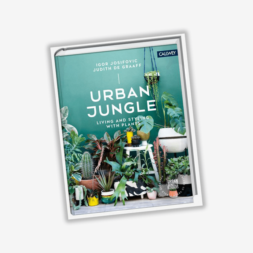 Urban Jungle: Living & Styling With Plants Book - Jo & Co HomeUrban Jungle: Living & Styling With Plants BookBookspeed