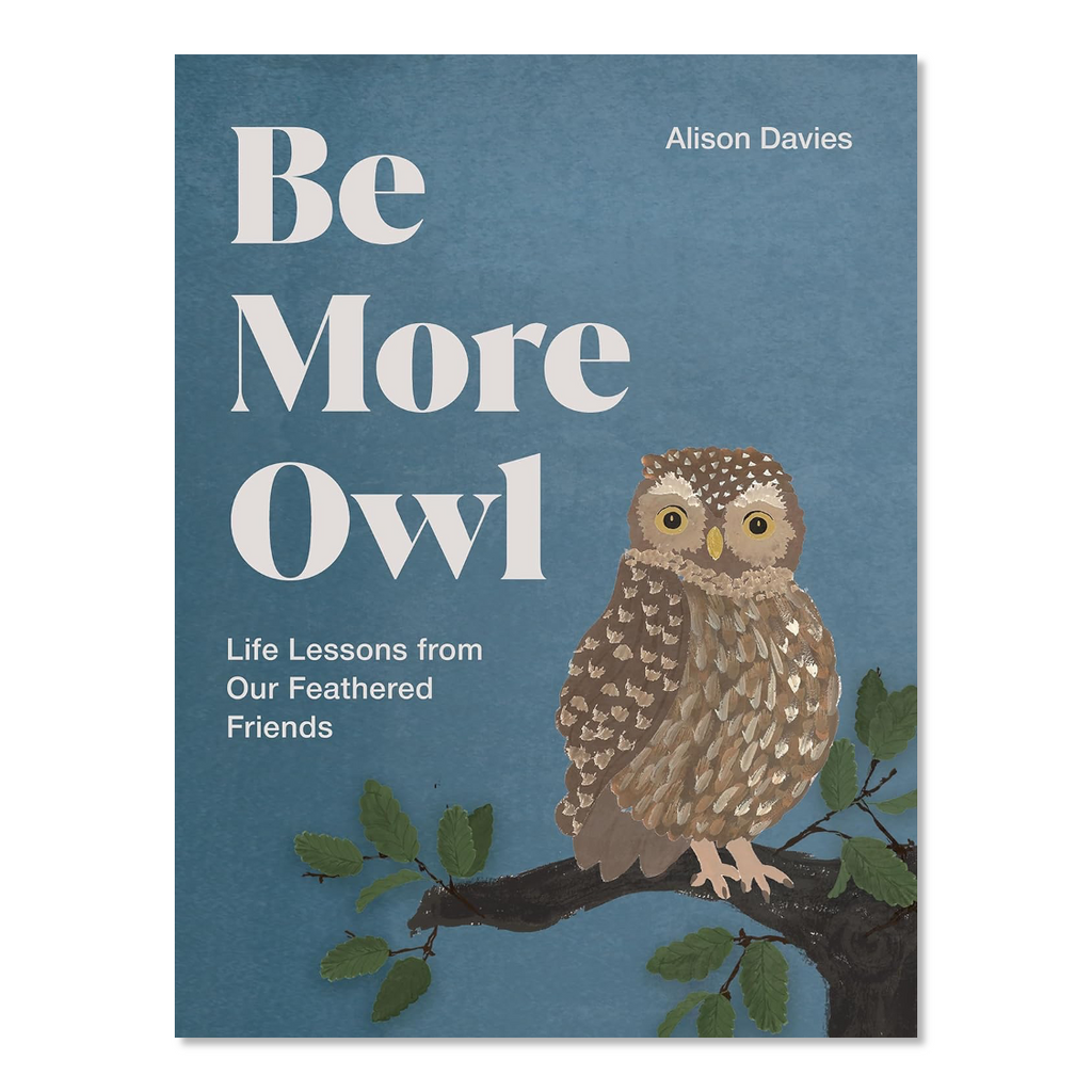 Be More Owl: Life Lessons Book - Jo And Co Be More Owl: Life Lessons Book - Alison Davies