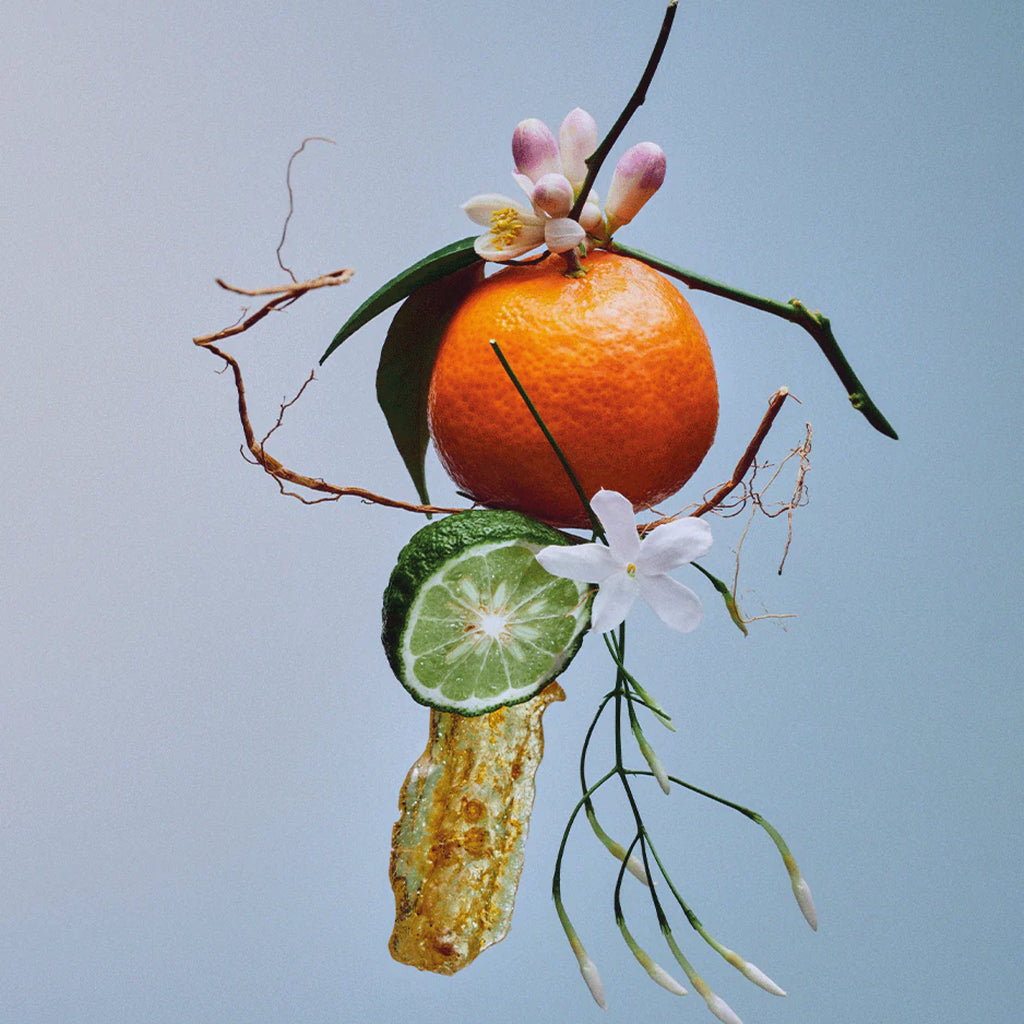 Bon Parfumeur 001 Cologne Intense 30ml - Jo And Co Bon Parfumeur 001 Cologne Intense 30ml - Bon Parfumeur Paris