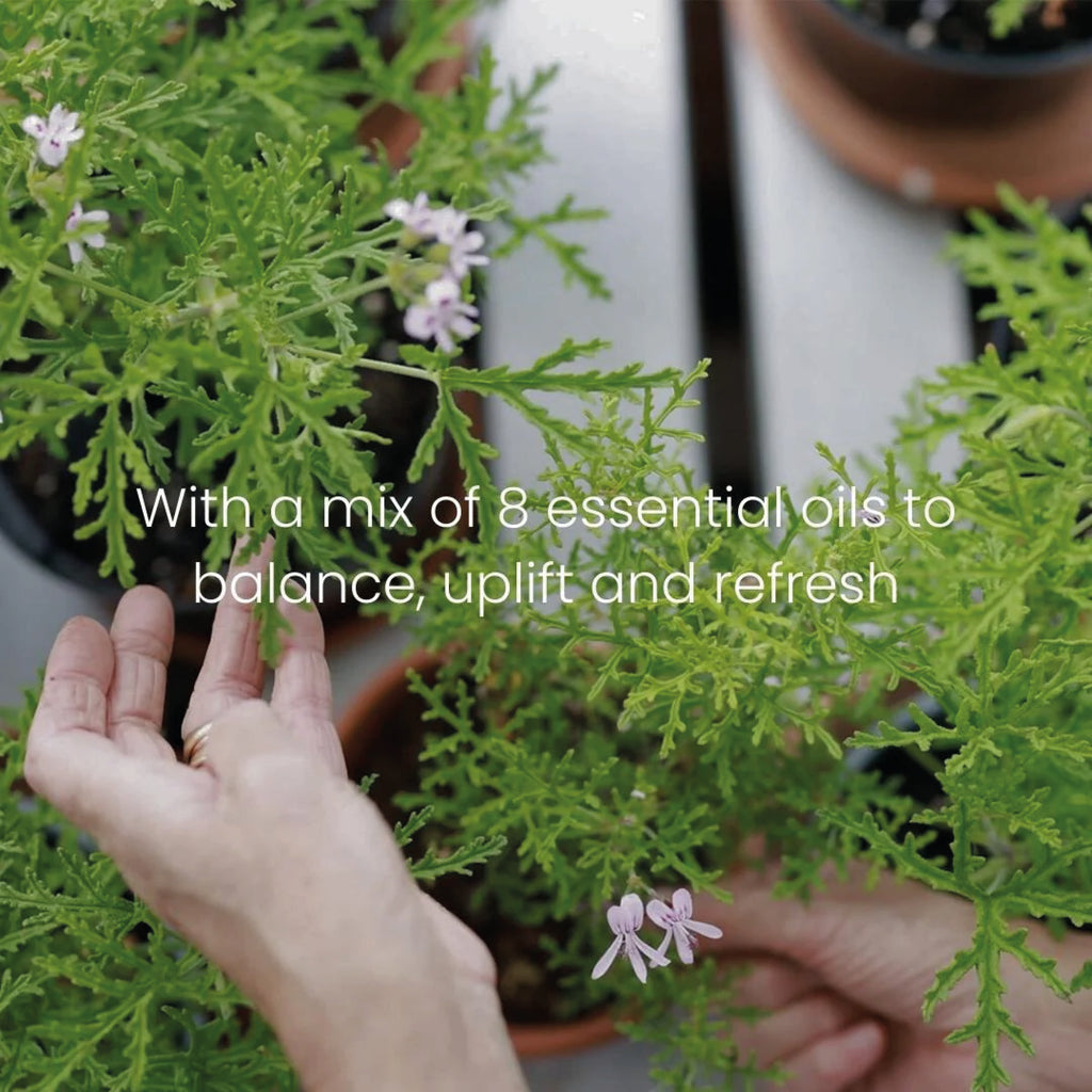 Candle with Radens Geranium.
Geranium No.1 Candle 200g - Jo And Co Geranium No.1 Candle 200g - C.Atherley London