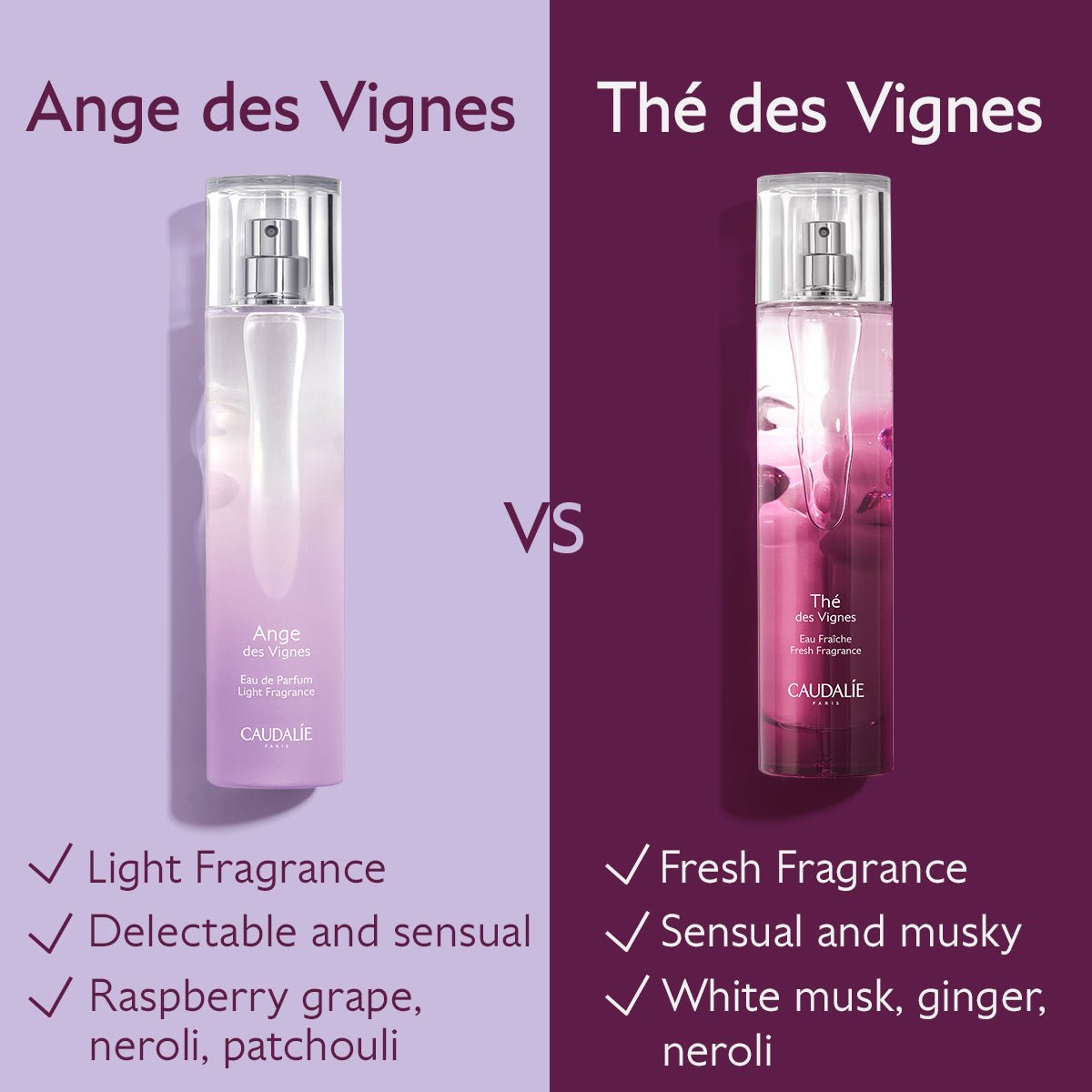 Fresh Perfume Fragrance Thé des Vignes White Musk