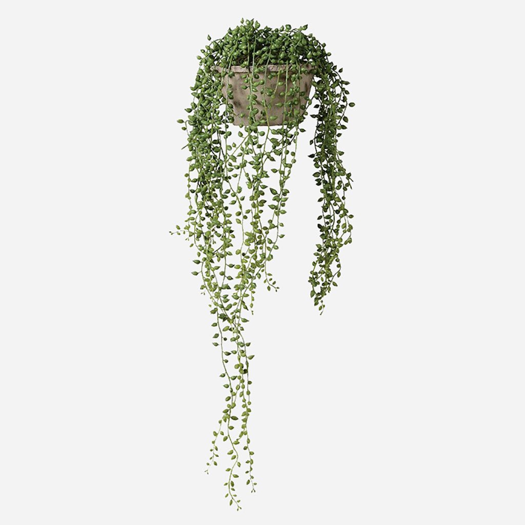 Faux String Of Pearls Succulent In Cement Pot - Jo & Co Home