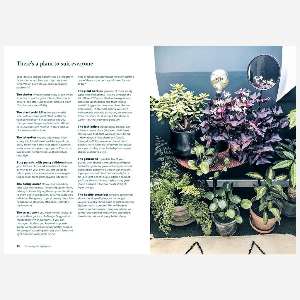 Green Home: The Joy Of Living With Plants Book - Jo & Co Home