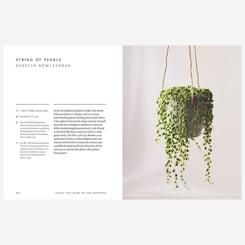 Healing Power Of Plants Book - Jo & Co HomeHealing Power Of Plants BookBookspeed