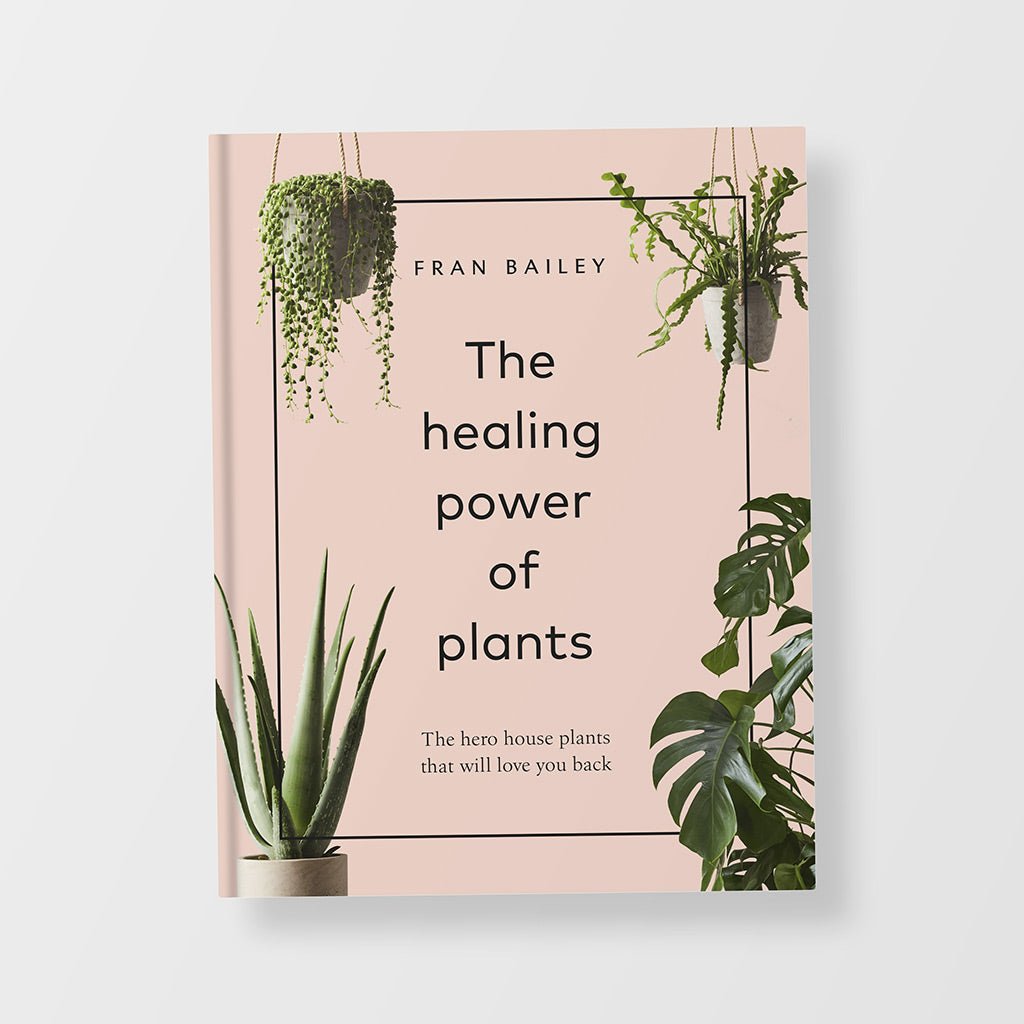 Healing Power Of Plants Book - Jo & Co Home