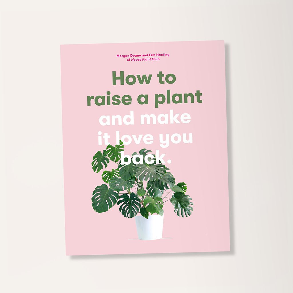 How To Raise A Plant And Make It Love You Back Book by Morgan Doane - Jo & Co HomeHow To Raise A Plant And Make It Love You Back Book by Morgan DoaneBookspeed