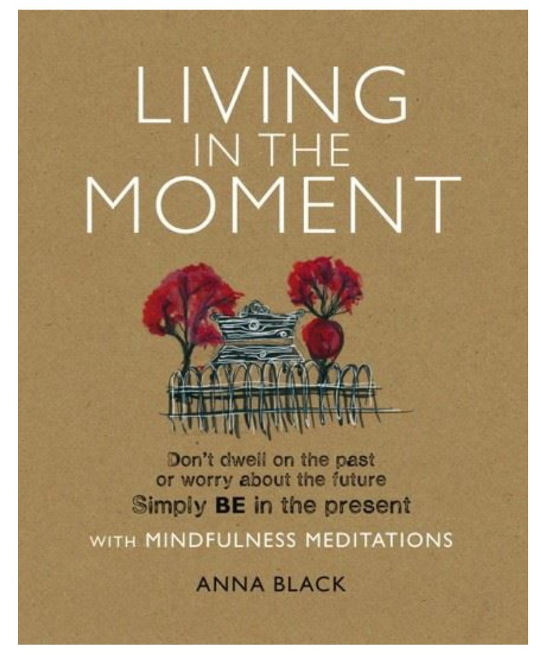 Living In The Moment Book - Jo & Co HomeLiving In The Moment BookBookspeed9781908170446